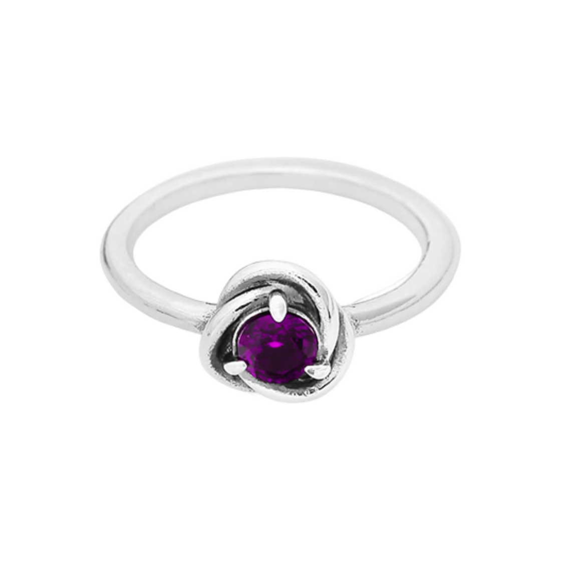 192993C02 (W) Pandora February Eternity Circle Ring Purple