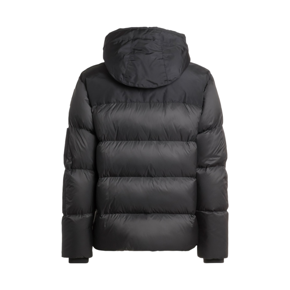 파라점퍼스 티릭 쇼트 패딩 다운 자켓 블랙 - 23FW(Parajumpers Tyrik Short Padded Down Jacket Black - 23FW) - 2
