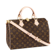 Louis Vuitton Speedy Bandouliere 30 Monogram