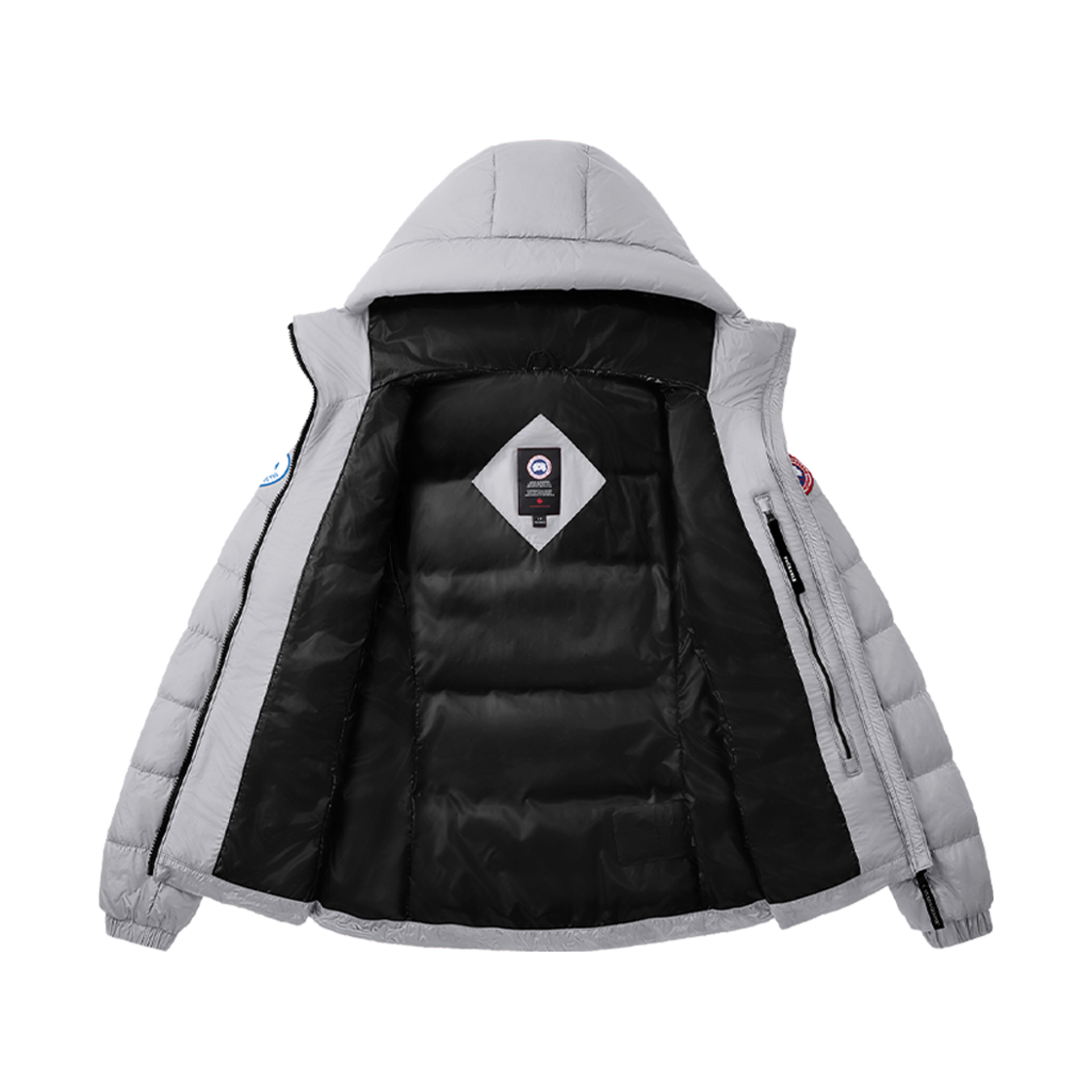 (W) 캐나다 구스 애보트 후디 실버버치((W) Canada Goose Abbott Hoody Silverbirch) - 2