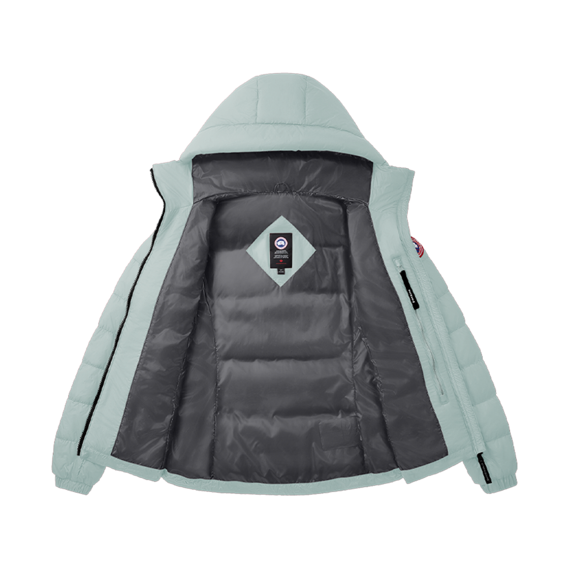 (W) 캐나다 구스 애보트 후디 멜트워터((W) Canada Goose Abbott Hoody Meltwater) - 2