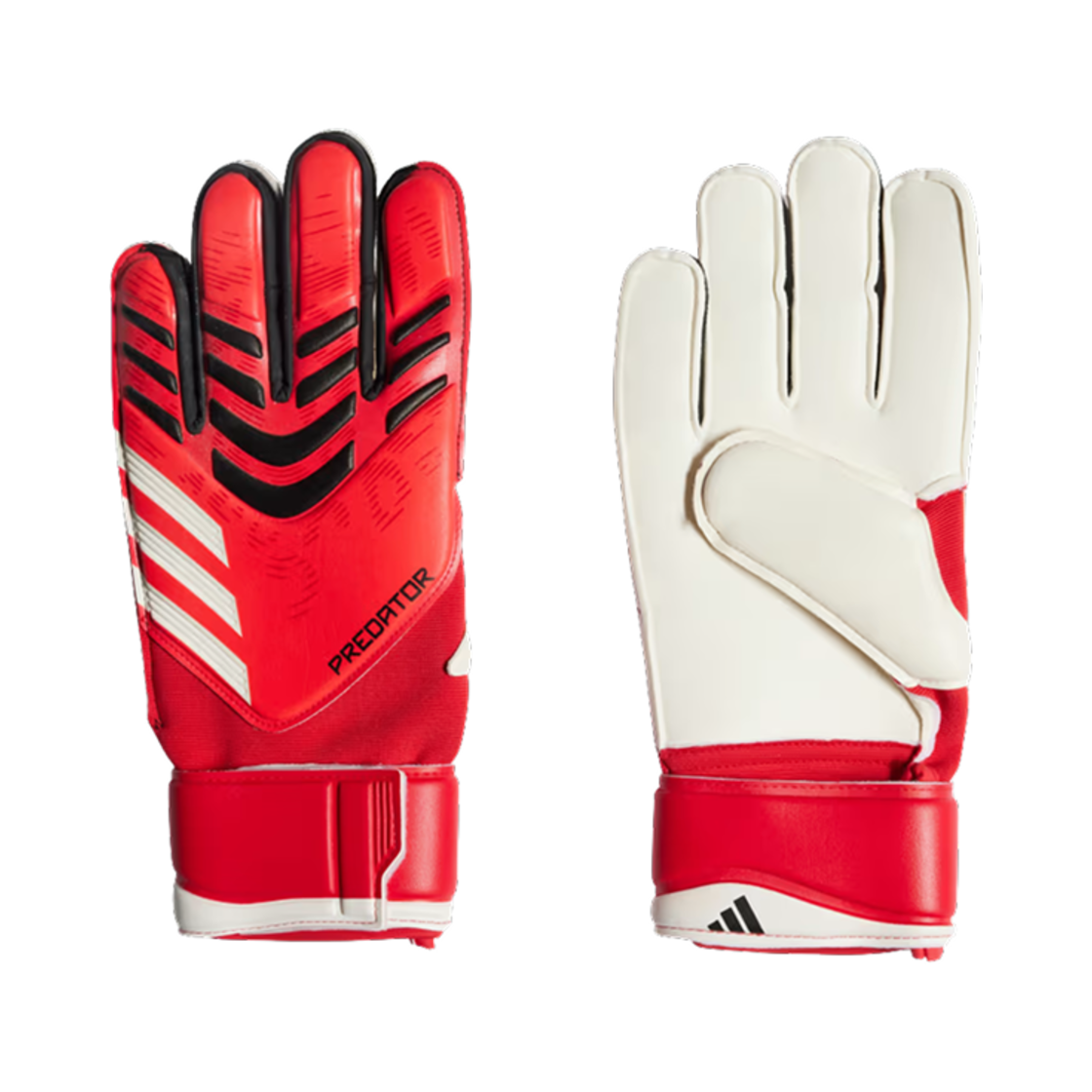 JH3801 Adidas Predator Match Goalkeeper Gloves Pure Ruby Lucid Red