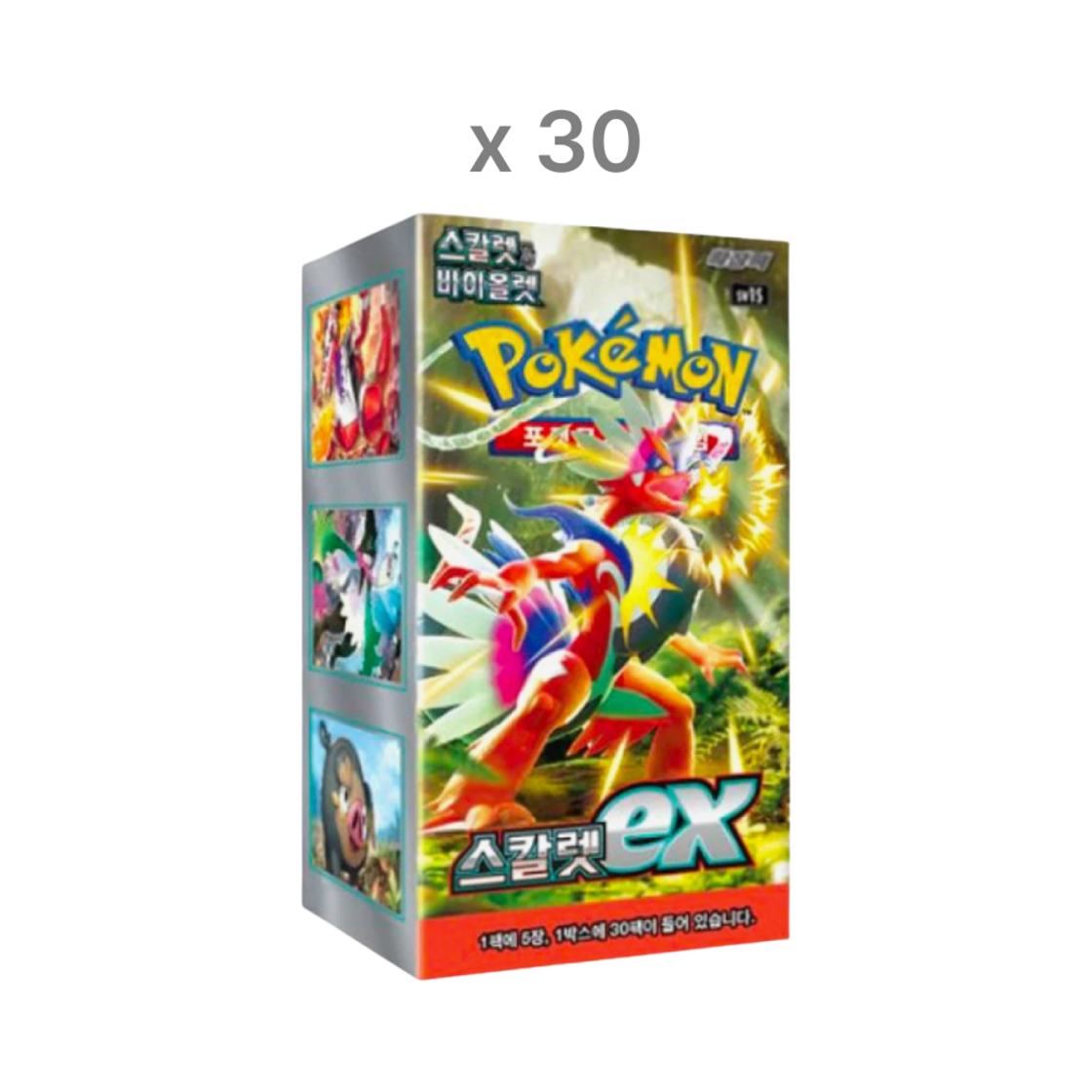 포켓몬 TCG 스칼렛 & 바이올렛 확장팩 스칼렛 EX 30박스 (총 900팩/한글판)(Pokemon TCG Scarlet & Violet Expansion Pack Scarlet EX 30 Boxes (Pack of 30/Korean Ver.)) - 1