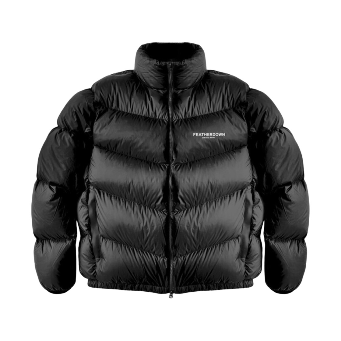 페더다운 F 자켓 블랙 에디션(Featherdown F Jacket Black Edition)