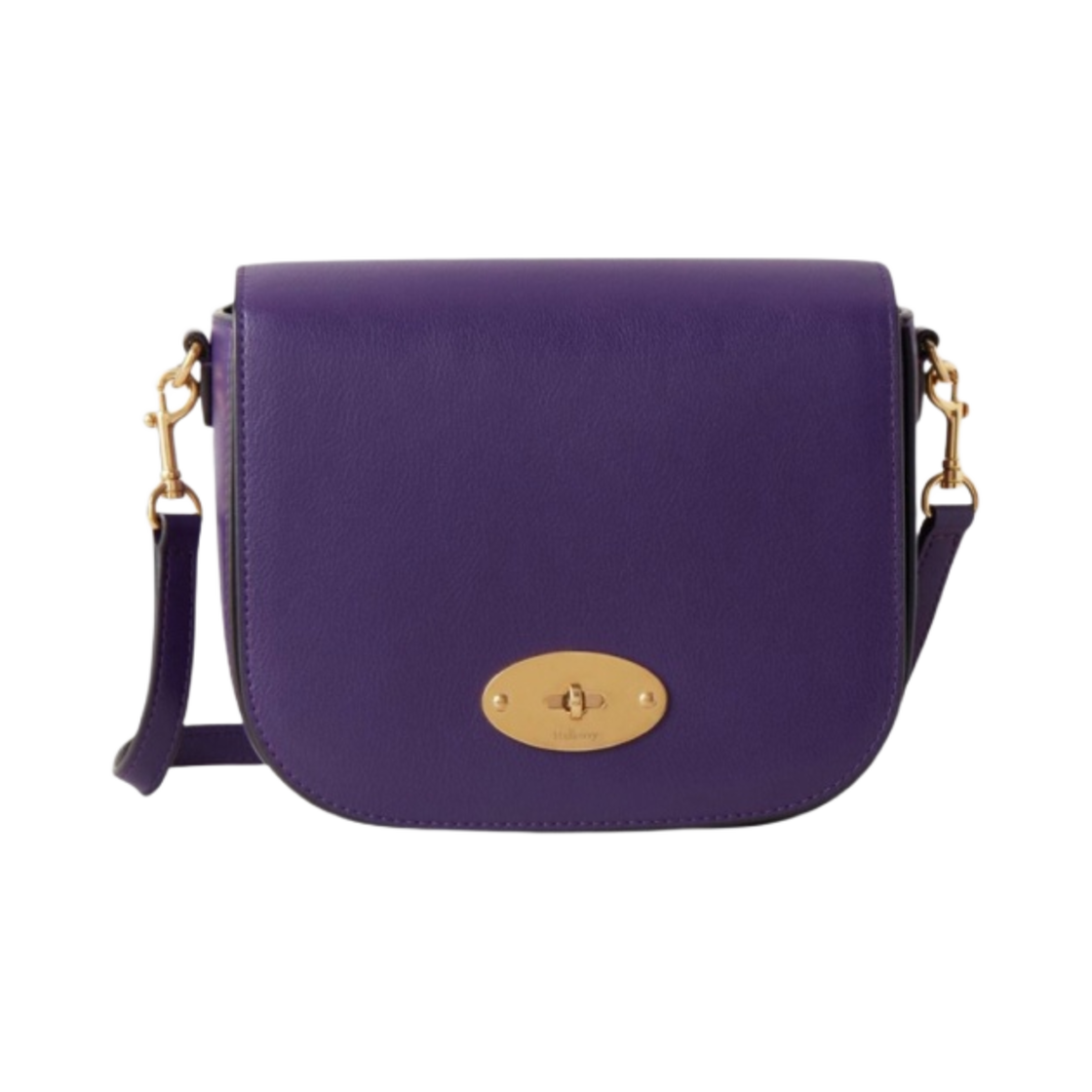 멀버리 실키 카프 스몰 달리 사첼 애머시스트(Mulberry Silky Calf Small Darley Satchel Amethyst) - 1