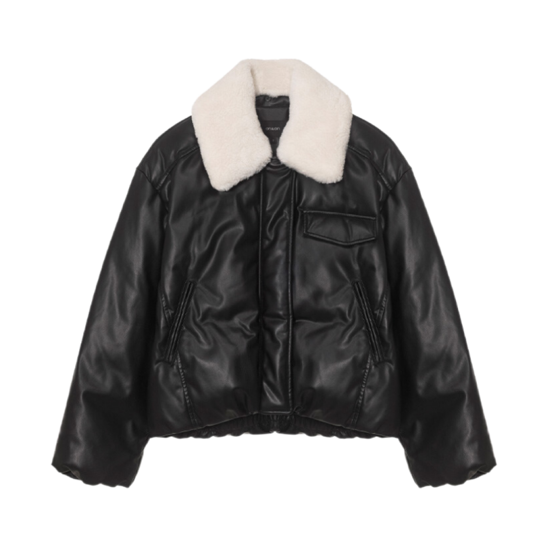 (W) 온앤온 퍼 칼라 레더 구스 다운 블랙((W) On&On Fur Collar Leather Goose Down Black)
