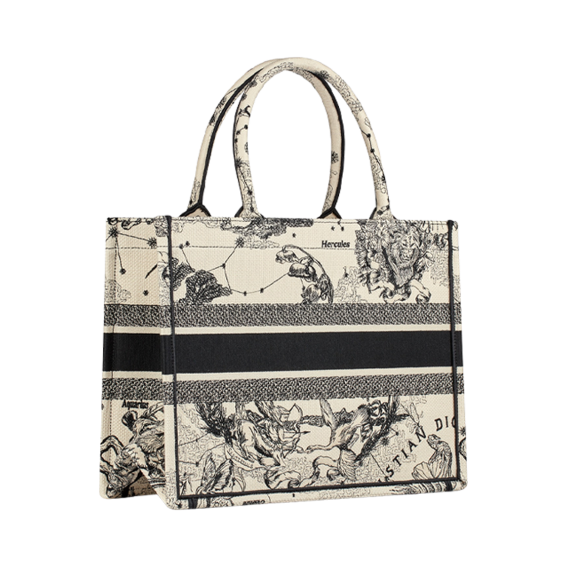디올 미디움 북 토트백 라떼 블랙 조디악(Dior Medium Book Tote Latte Black Zodiac) - 4
