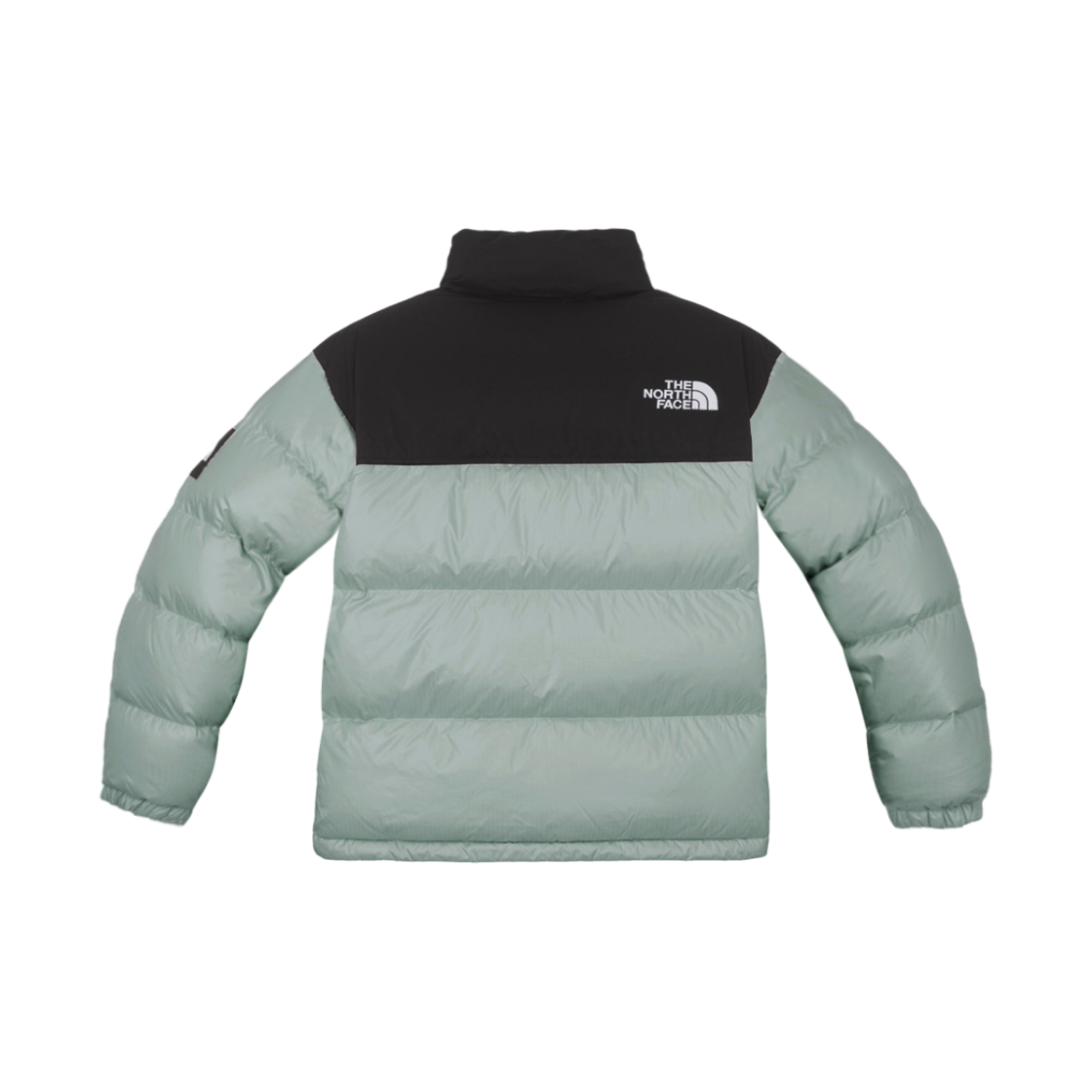 노스페이스 노벨티 눕시 RDS 다운 자켓 아보카도 - 24FW(The North Face Novelty Nuptse RDS Down Jacket Avocado - 24FW) - 2
