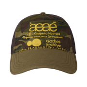 Aeae Web Logo Mesh Cap Camo
