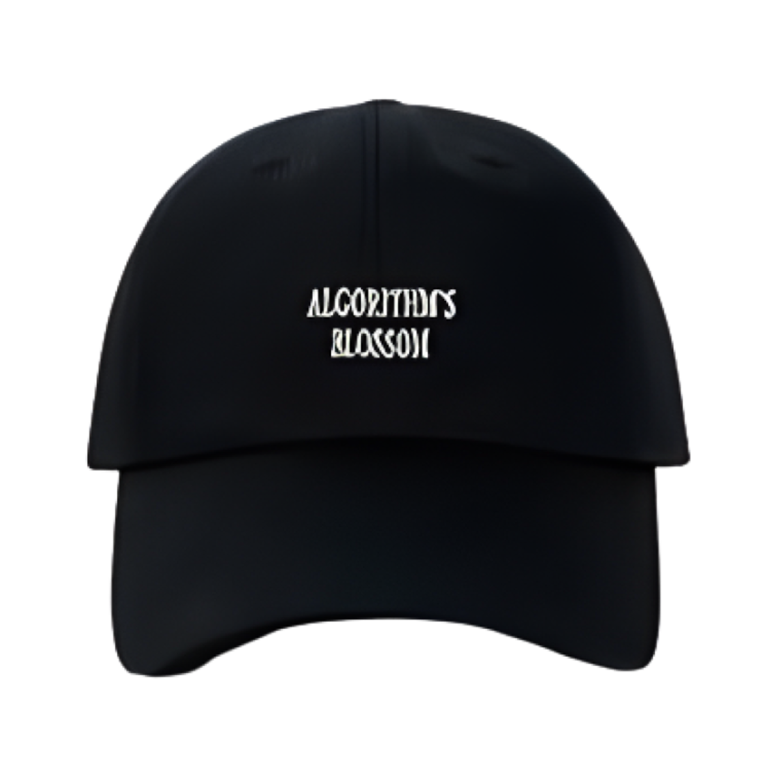 QWER 볼캡 블랙(QWER Ball Cap Black) - 1