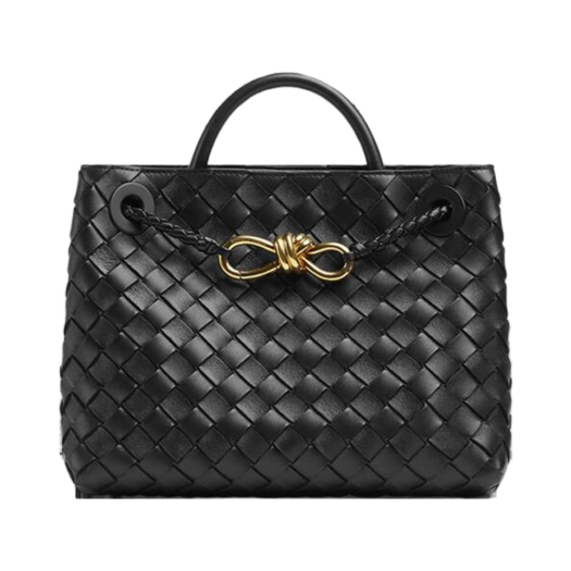 766014VCPP11139 Bottega Veneta Small Andiamo Black