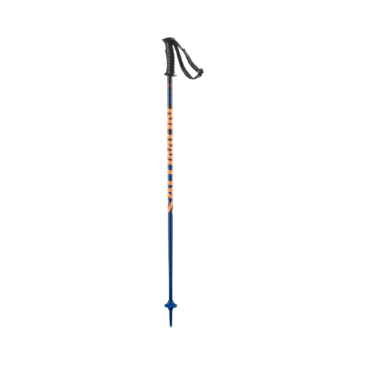 L41174600 (Kids) Salomon Kaloo Alpine Poles Blue