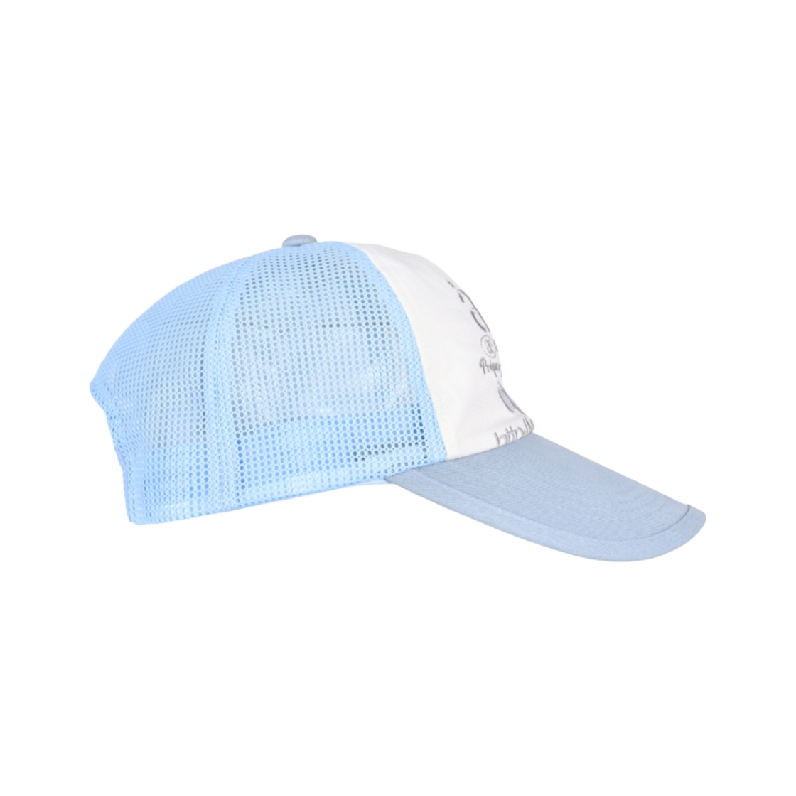 에이에이 웹 로고 메쉬 캡 스카이블루(Aeae Web Logo Mesh Cap Skyblue) - 3