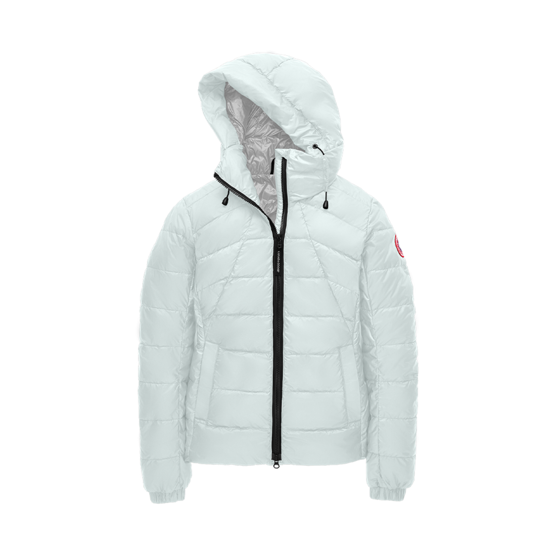 (W) 캐나다 구스 애보트 후디 멜트워터((W) Canada Goose Abbott Hoody Meltwater) - 1