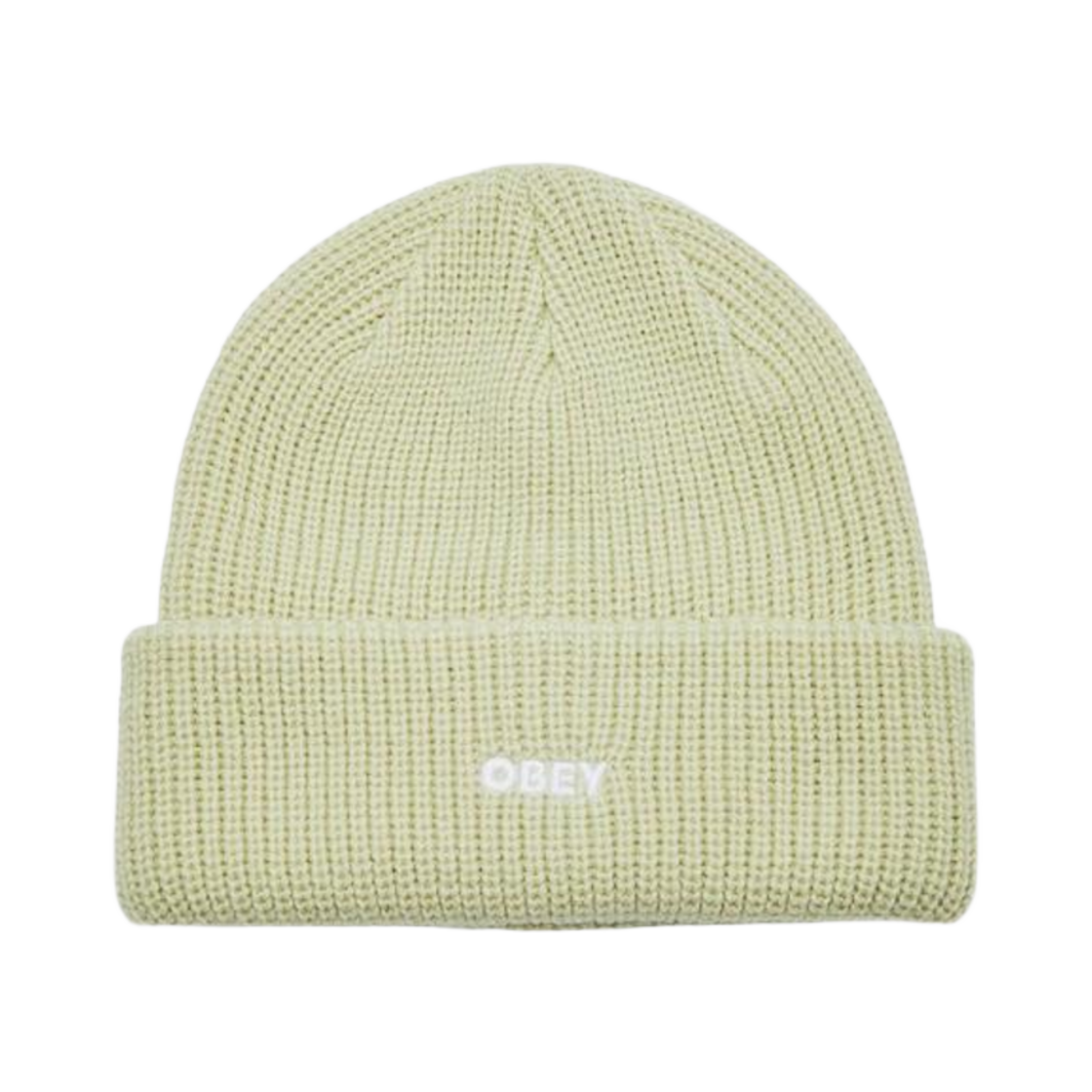 100030163 Obey Future Beanie Cucumber