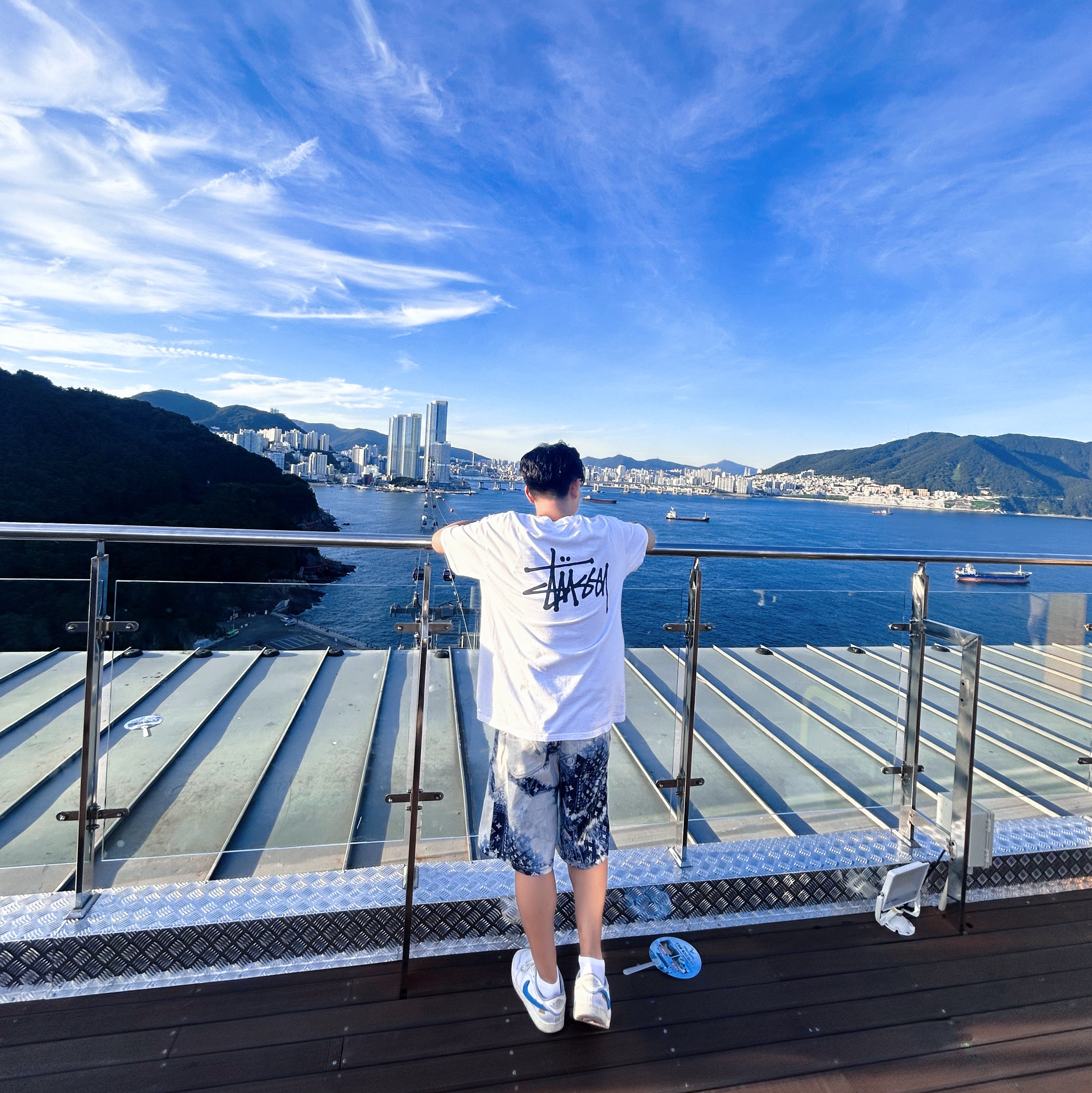 Louis Vuitton Monogram Bandana Denim Shorts Indigo, Stussy Basic Stussy T-Shirt White 2024, 2025 착용 스타일