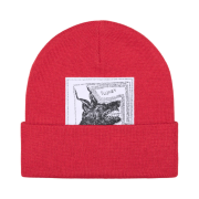 Supreme x The North Face Beanie Red - 24FW