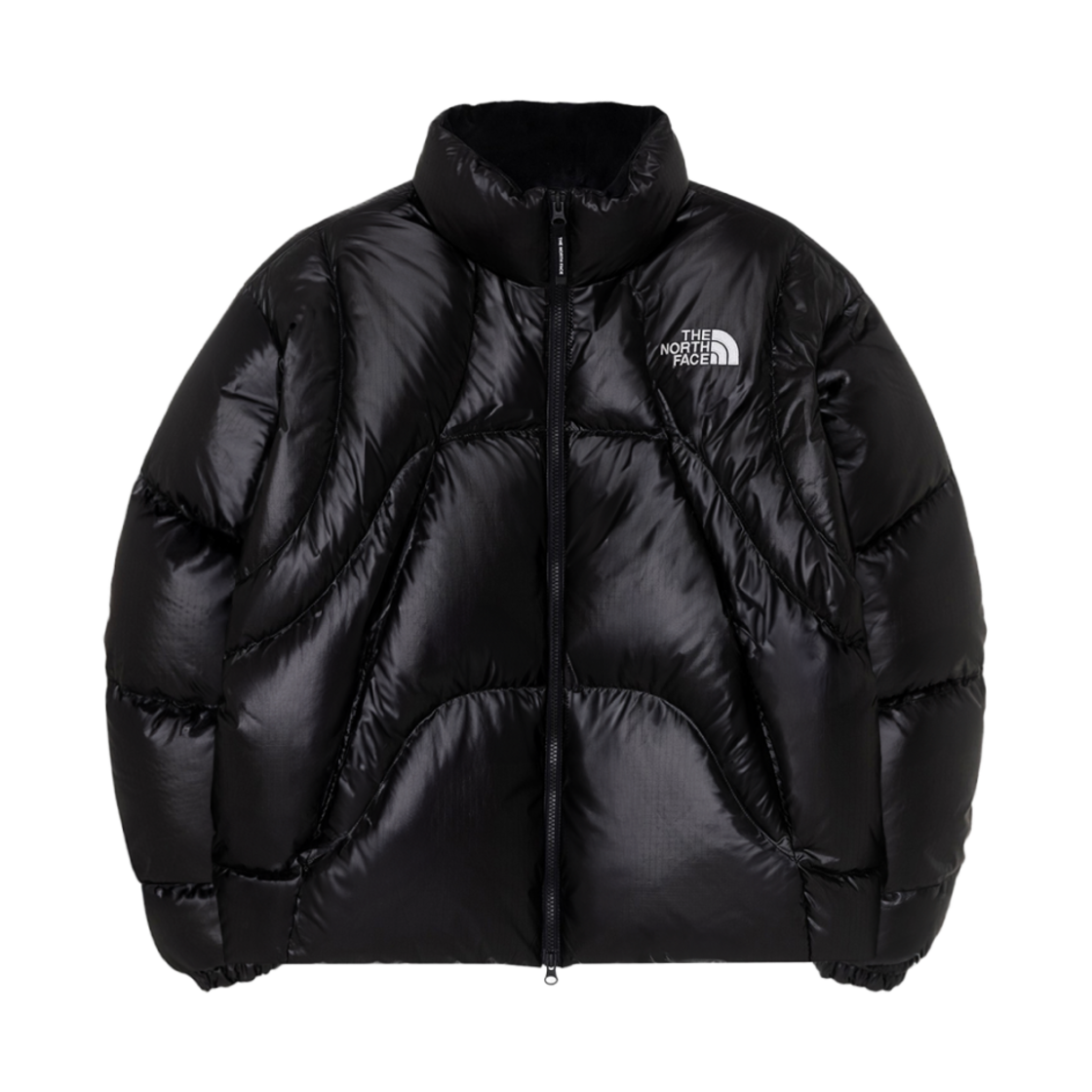 ダウンジャケット・コート THE NORTH FACE White Label Women's Wave RDS Down Jacket BROW W) 노스페이스 글로시 DT RDS 다운 자켓 코코아 브라운 | The