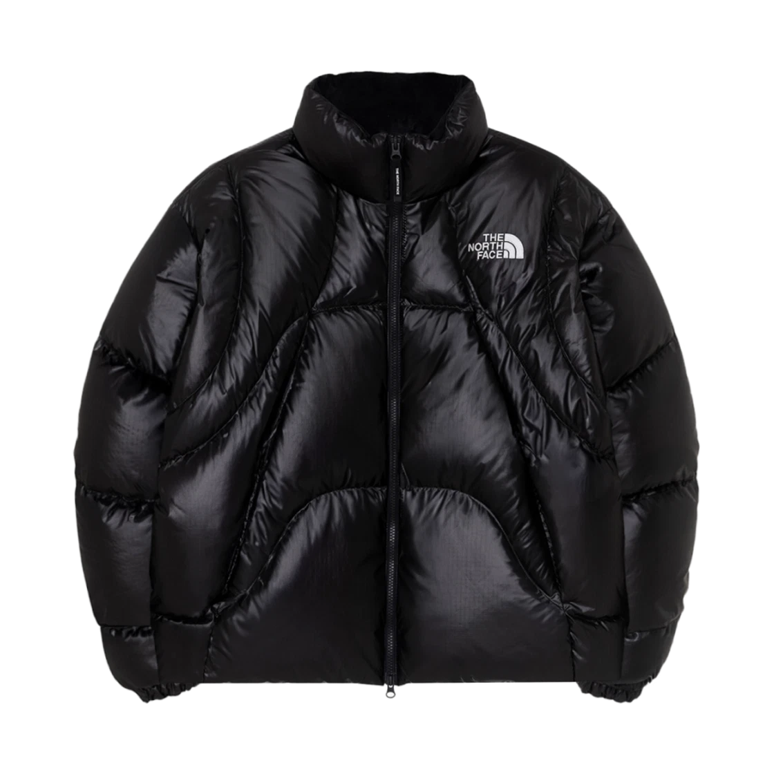 The North Face The North Face White Label Wave RDS Down Jacket Black · XS