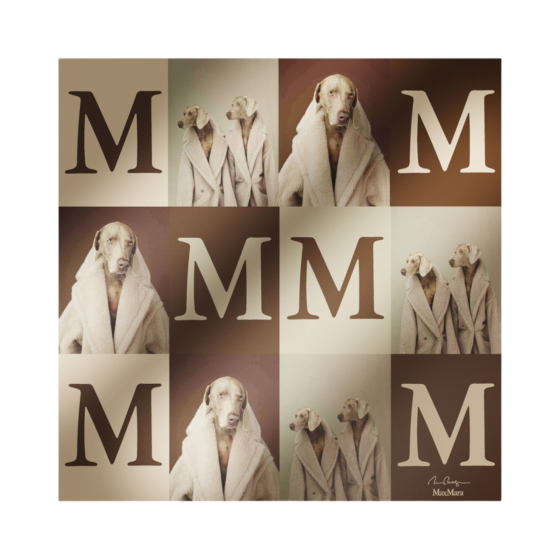 (W) 막스마라 프린티드 실크 스카프 베이지((W) Max Mara Printed Silk Scarf Beige) - 1