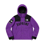 Supreme x The North Face Arc Logo Mountain Parka Purple - 19SS