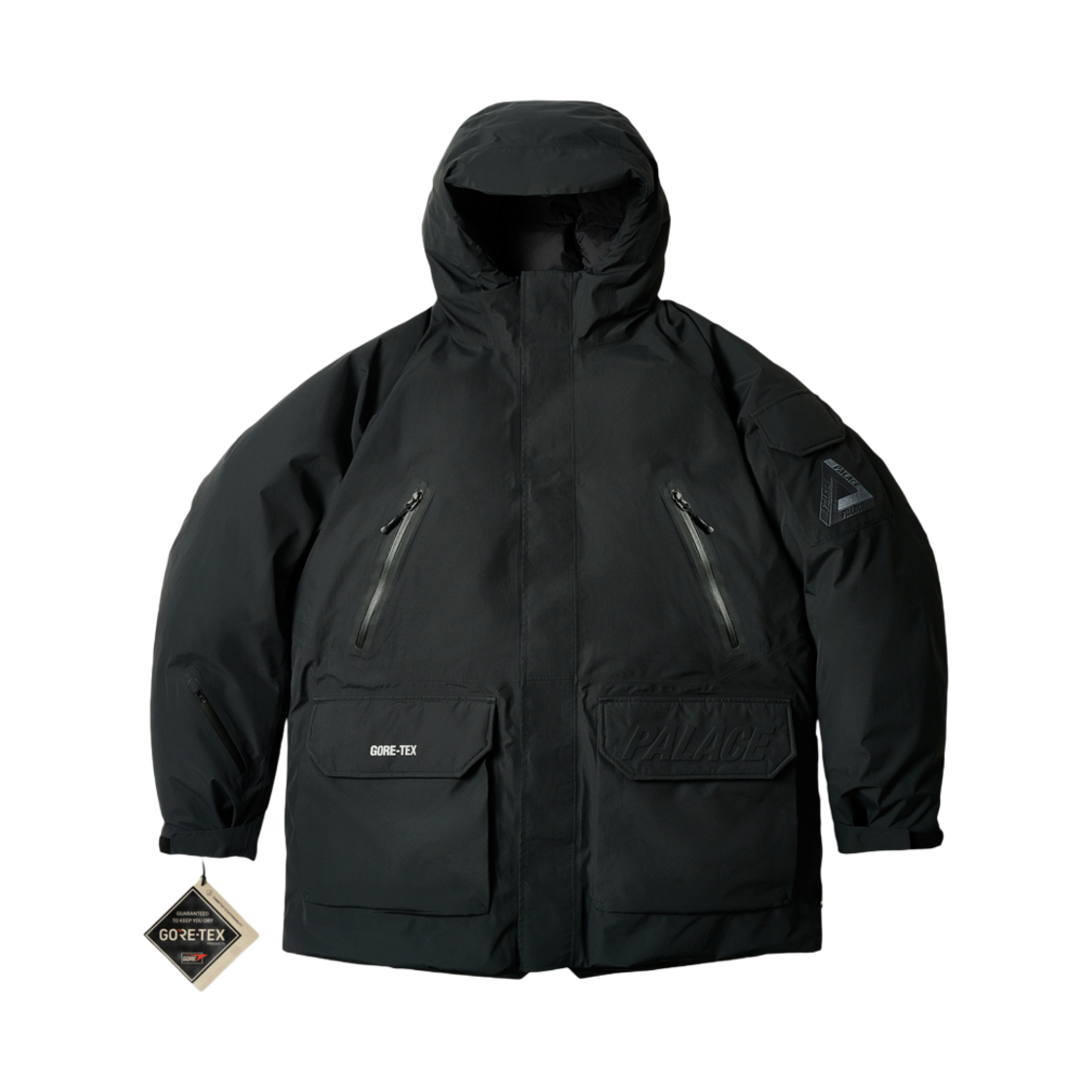 팔라스 고어텍스 카고 다운 파카 블랙 - 24FW