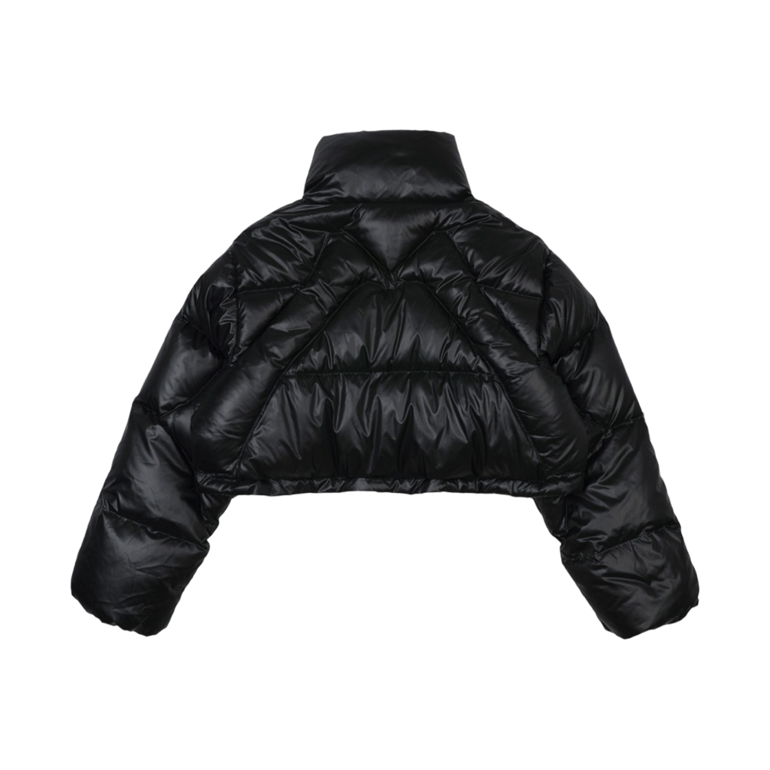 엘이이와이 자수 크롭 푸퍼 자켓 블랙(Leey Embroidered Crop Puffer Jacket Black) - 2