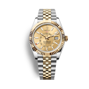 롤렉스 스카이드웰러 42mm 336933 샴페인 쥬빌리