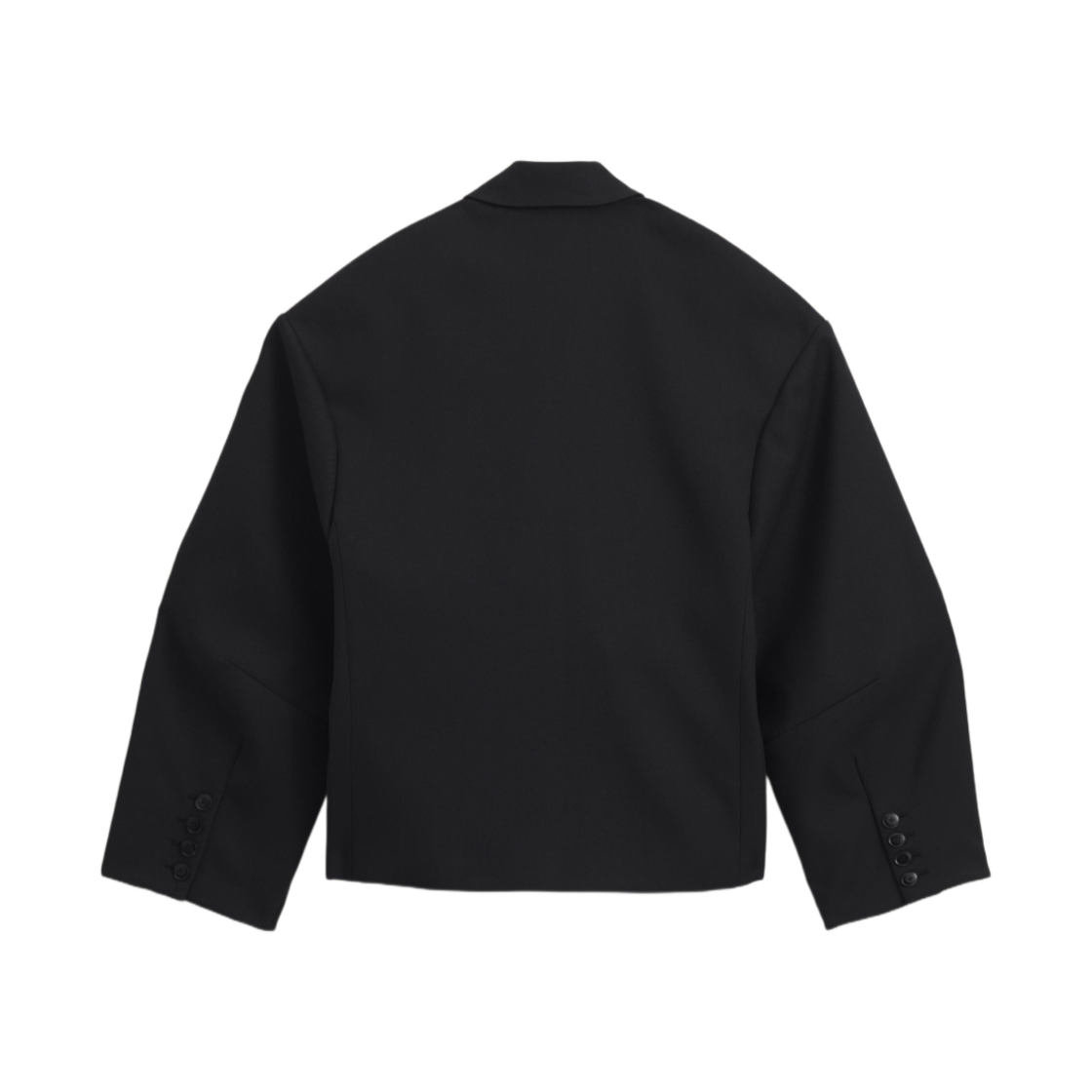 자라 리미티드 에디션 박시 핏 블레이저 블랙(Zara Limited Edition Boxy Fit Blazer Black) - 2