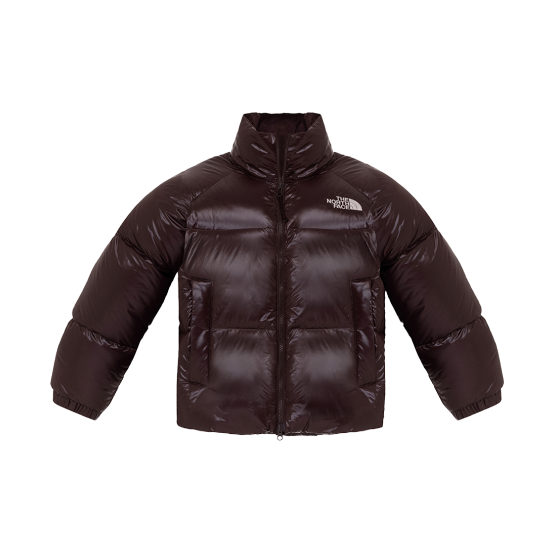 (W) 노스페이스 네오 퍼피 EX RDS 다운 자켓 브라운 - 24FW((W) The North Face Neo Puffy EX RDS Down Jacket Brown - 24FW) - 1
