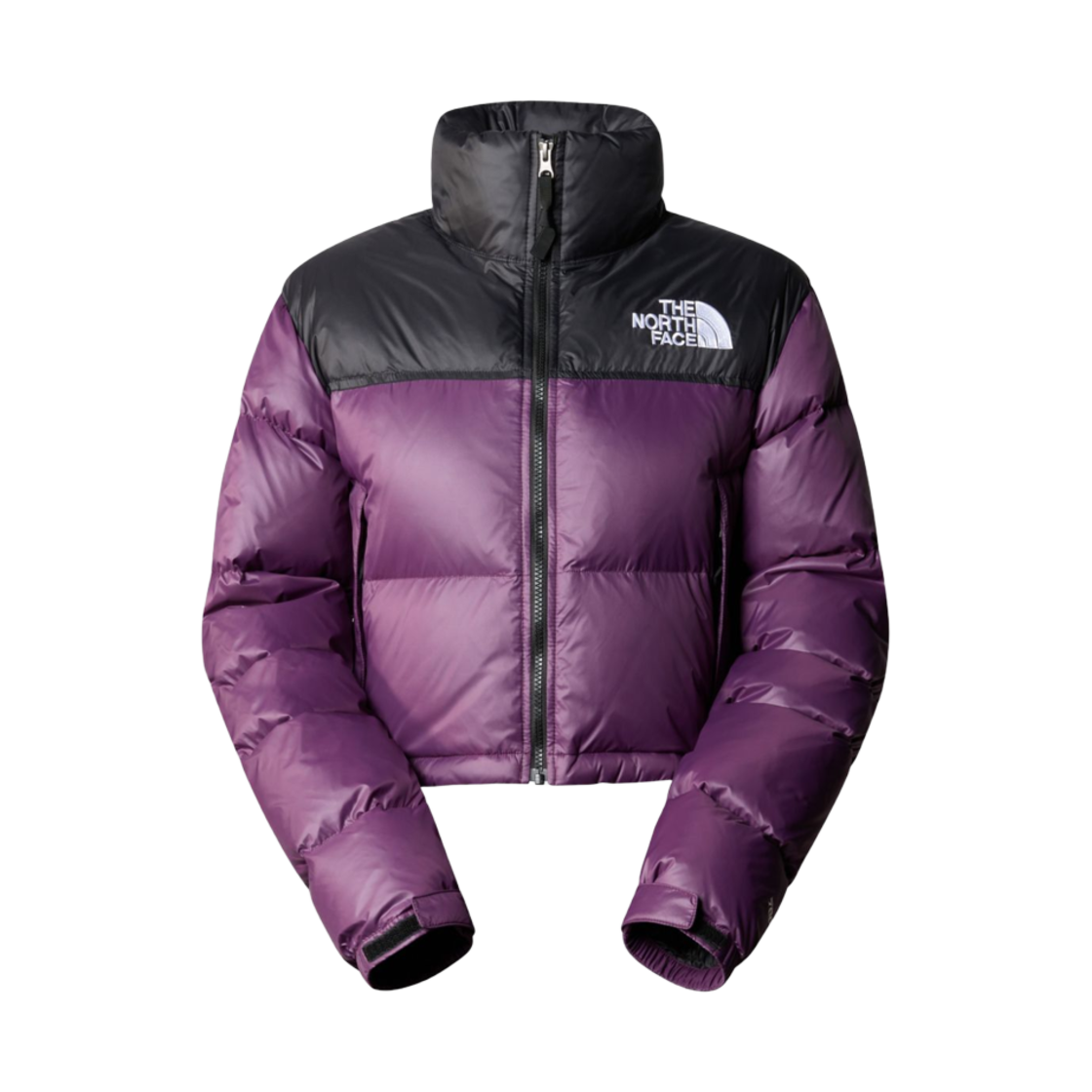 (W) 노스페이스 레트 눕시 숏 자켓 블랙 커런트 퍼플((W) The North Face Retro Novelty Short Jacket Black Currant Purple) - 1