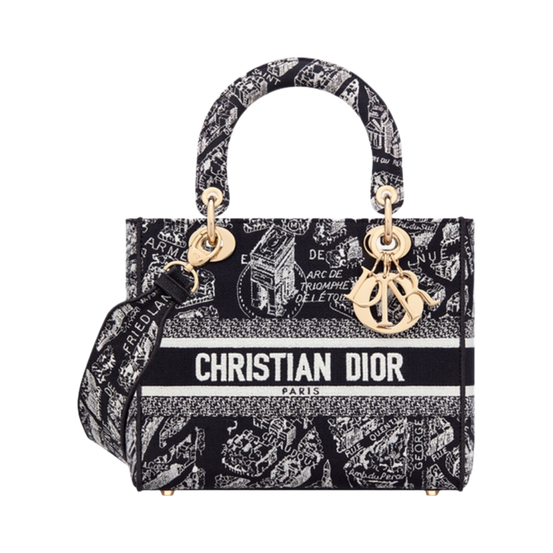 디올 미디움 레이디 D 라이트 백 플랜 드 파리 자수 블랙 화이트(Dior Medium Lady D Lite Bag Plan De Paris Embroidery Black White) - 1