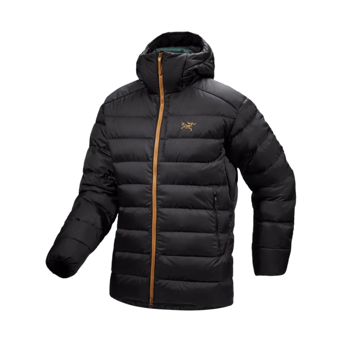 7380 Arc'teryx Thorium Hoody Dark Magic