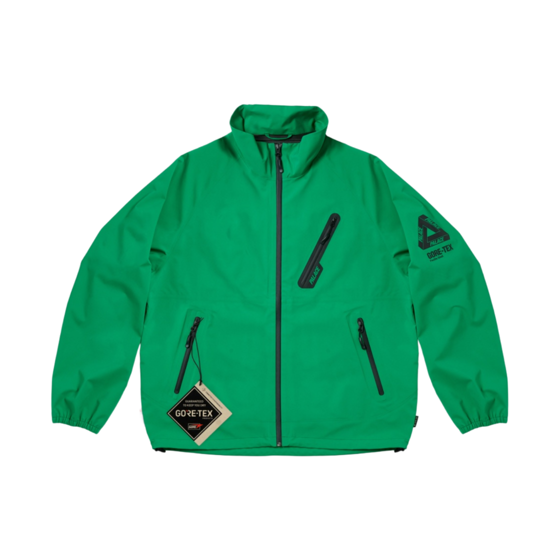 팔라스 고어텍스 3L 자켓 리얼트리 팀버 - 24SS | Palace | KREAM