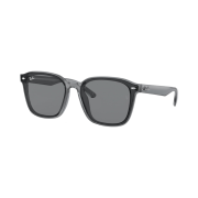 Ray-Ban RB4392D Polished Transparent Grey Frame Grey Classic Lenses Low Bridge Fit