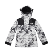 The North Face Novelty Eco GTX Mountain Jacket Nutral Gray