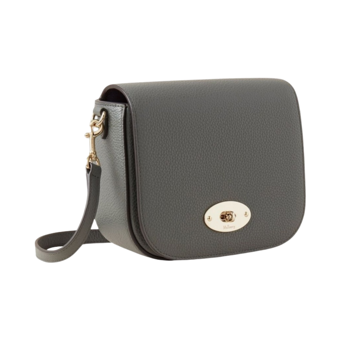 멀버리 스몰 클래식 그레인 스몰 달리 사첼 차콜(Mulberry Small Classic Grain Small Darley Satchel Charcoal) - 2