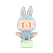 Pop Mart Labubu Lazy Yoga Series Show Off (Opened Case)