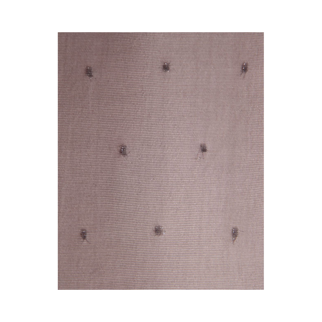 오니뗄라 글리터리 도트 타이즈 그레이(Onnitella Glittery Dot Tights Gray) - 1