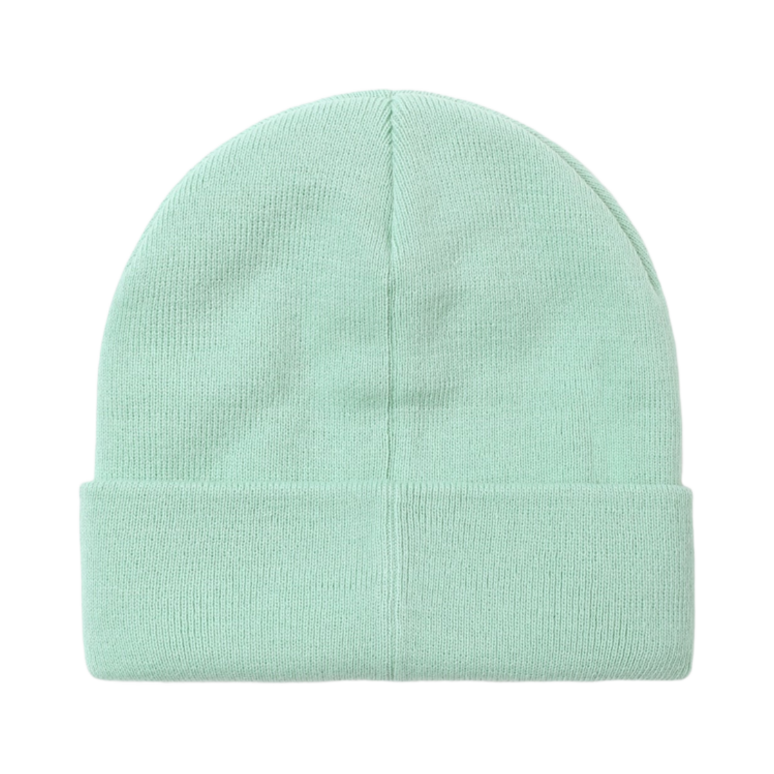 디스이즈네버댓 FR-로고 비니 민트(Thisisneverthat FR-Logo Beanie Mint) - 2