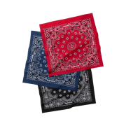 Supreme Hav-A-Hank Bandanas Multicolor (Set of 3) - 24SS