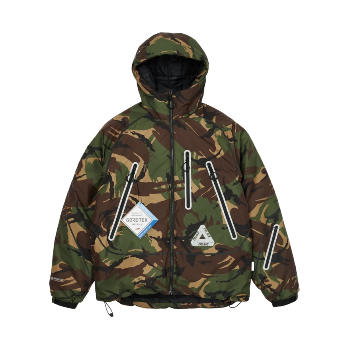 팔라스 고어텍스 인피니움 P-테크 자켓 카모 - 21FW