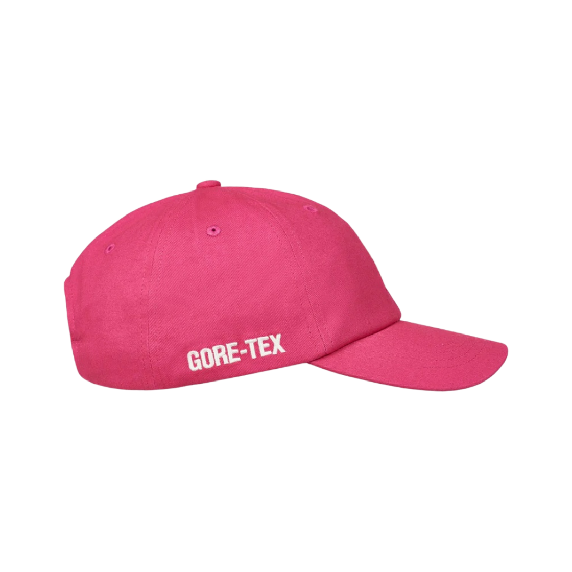 팔라스 고어텍스 피그먼트 P 6패널 핑크 - 23FW(Palace Gore-Tex Pigment P 6-Panel Pink - 23FW) - 2