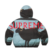 Supreme x Damien Hirst Down Puffer Jacket Black - 25SS