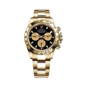 Rolex Cosmograph Daytona 40mm 116508 Intense Black Champagne Oyster