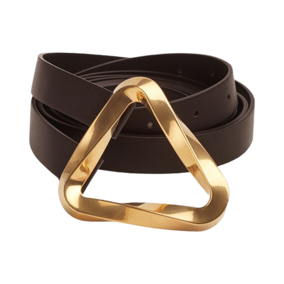 (W) 보테가 베네타 그래스프 벨트 폰덴테((W) Bottega Veneta Grasp Belt Fondant) - 1
