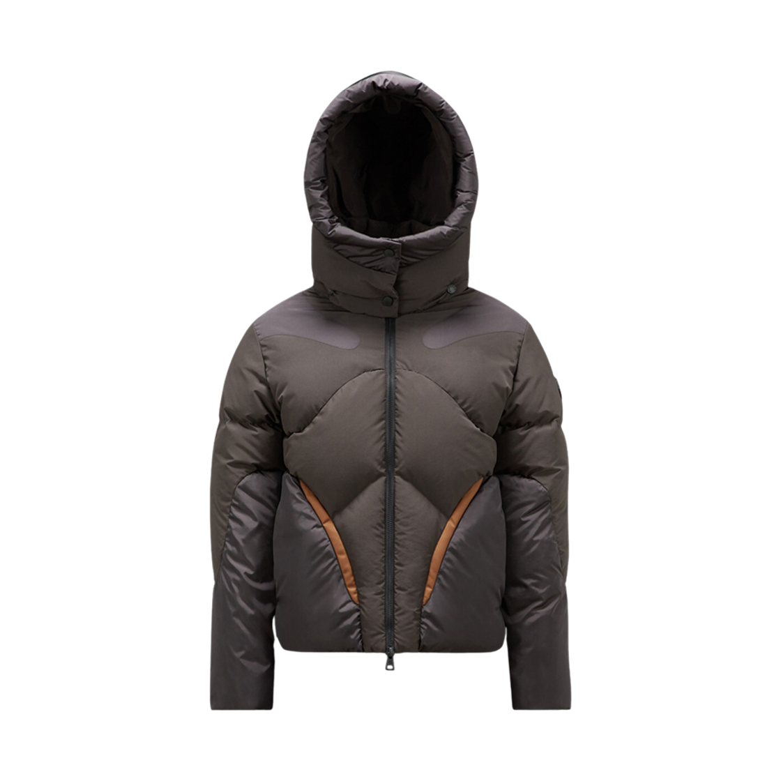 (W) 몽클레르 카나드 쇼트 다운 자켓 월넛 브라운 - 23FW((W) Moncler Canard Short Down Jacket Walnut Brown - 23FW) - 1