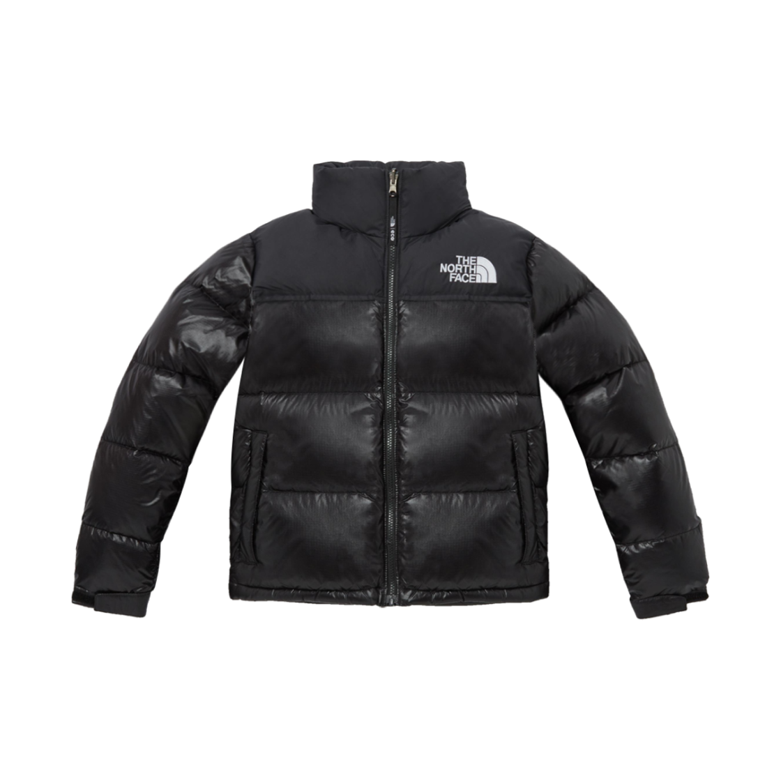 W) 노스페이스 1996 에코 눕시 자켓 리얼 블랙 - 24FW | The