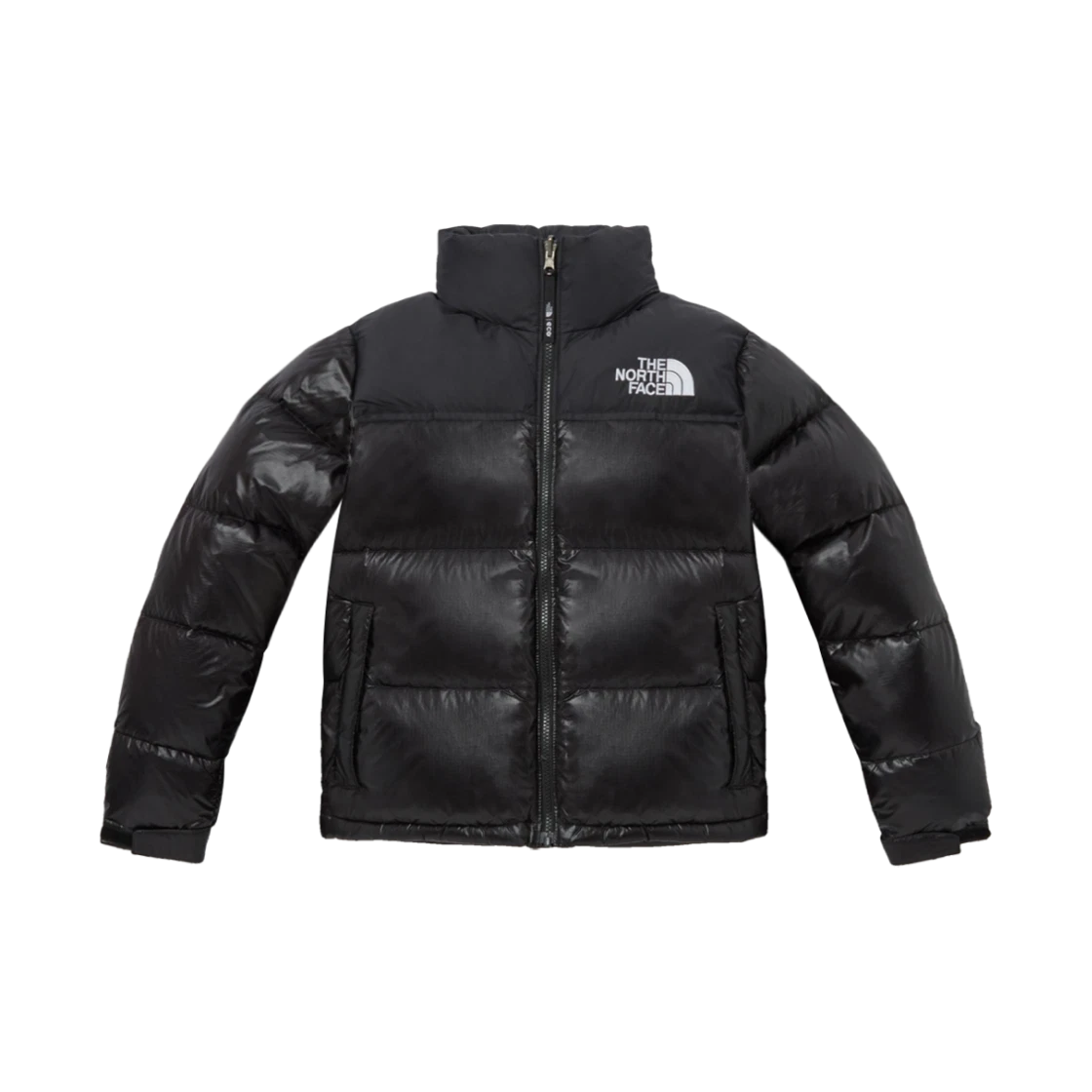 The North Face (W) The North Face 1996 Eco Nuptse Jacket Real Black - 24FW · S