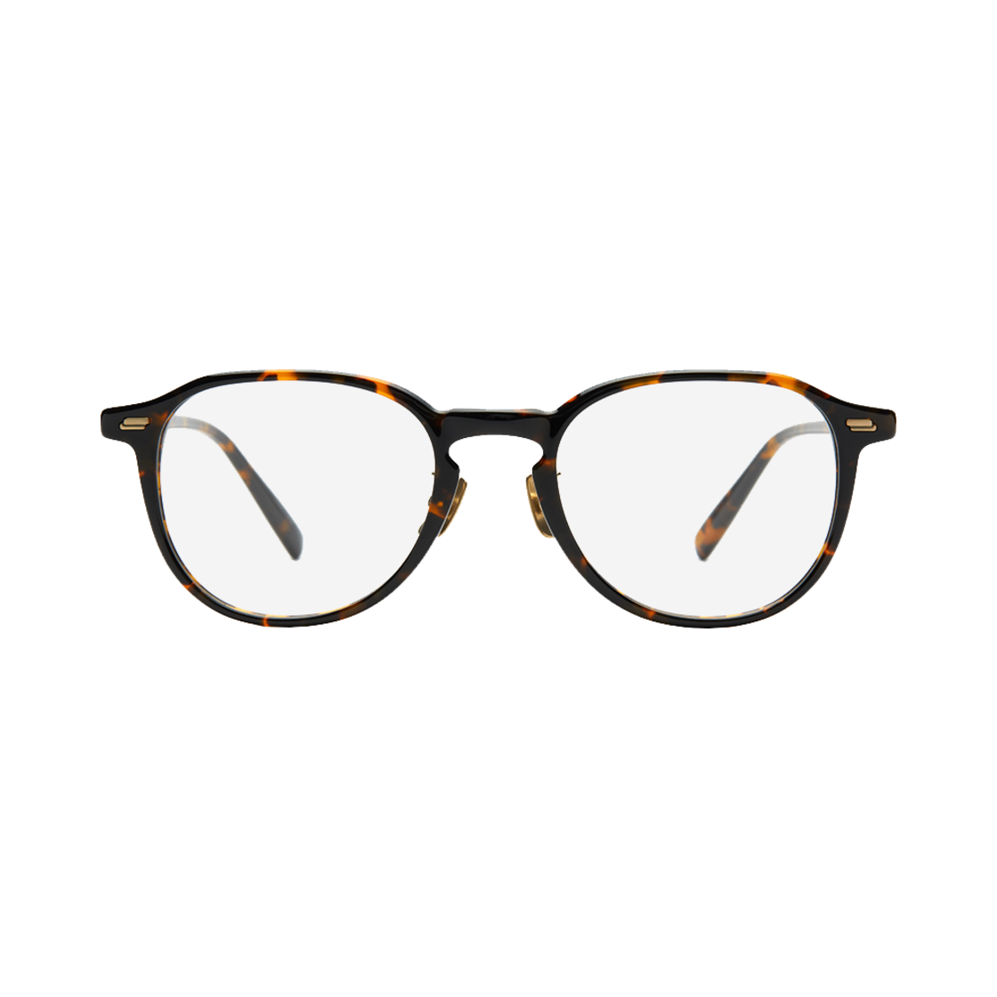 acrg0554 Accrue Anish Tortoise